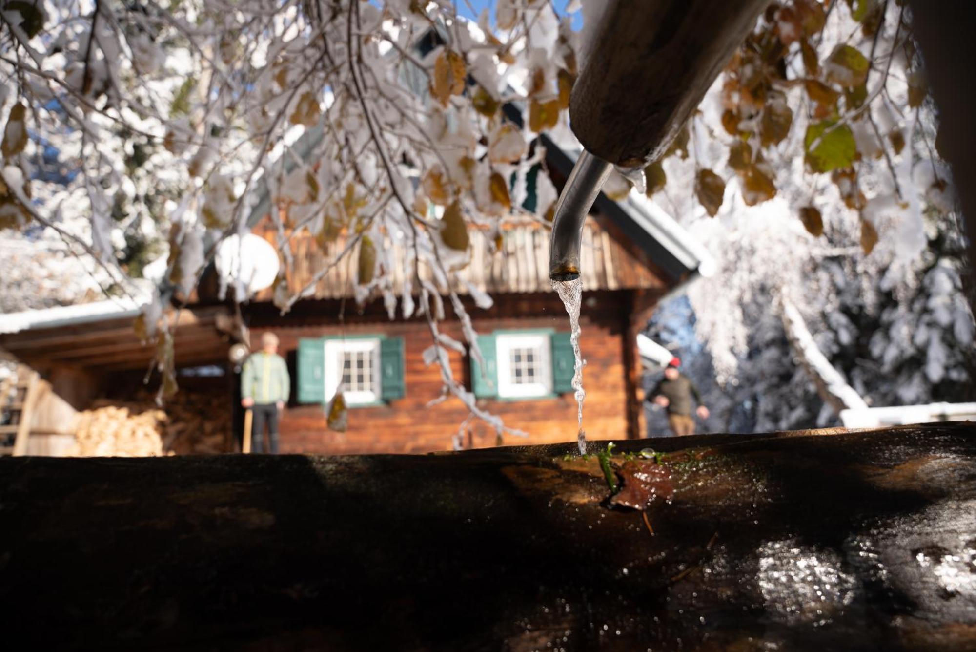 Gregor'S Ferienhaus Im Wald Edelschrott Luaran gambar