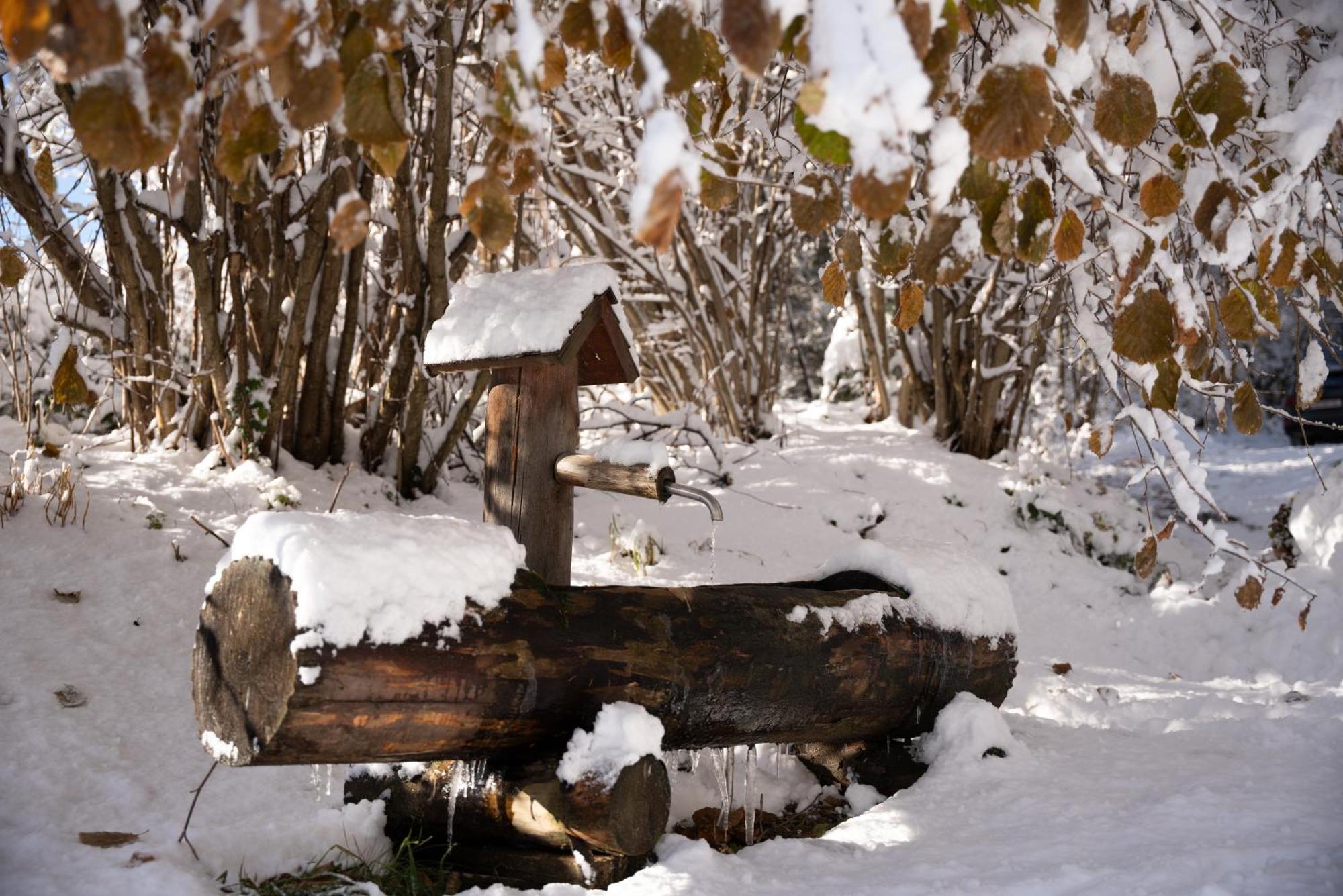 Gregor'S Ferienhaus Im Wald Edelschrott Luaran gambar
