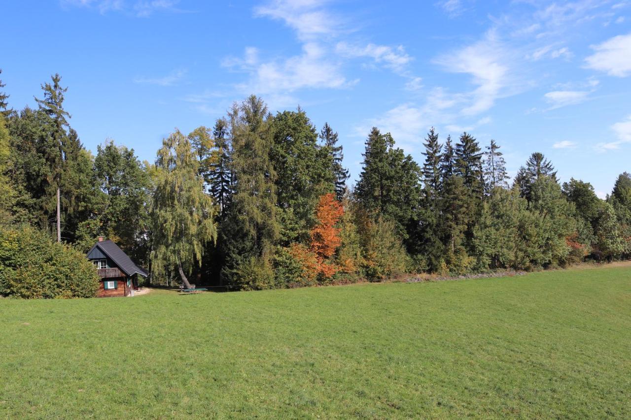 Gregor'S Ferienhaus Im Wald Edelschrott Luaran gambar